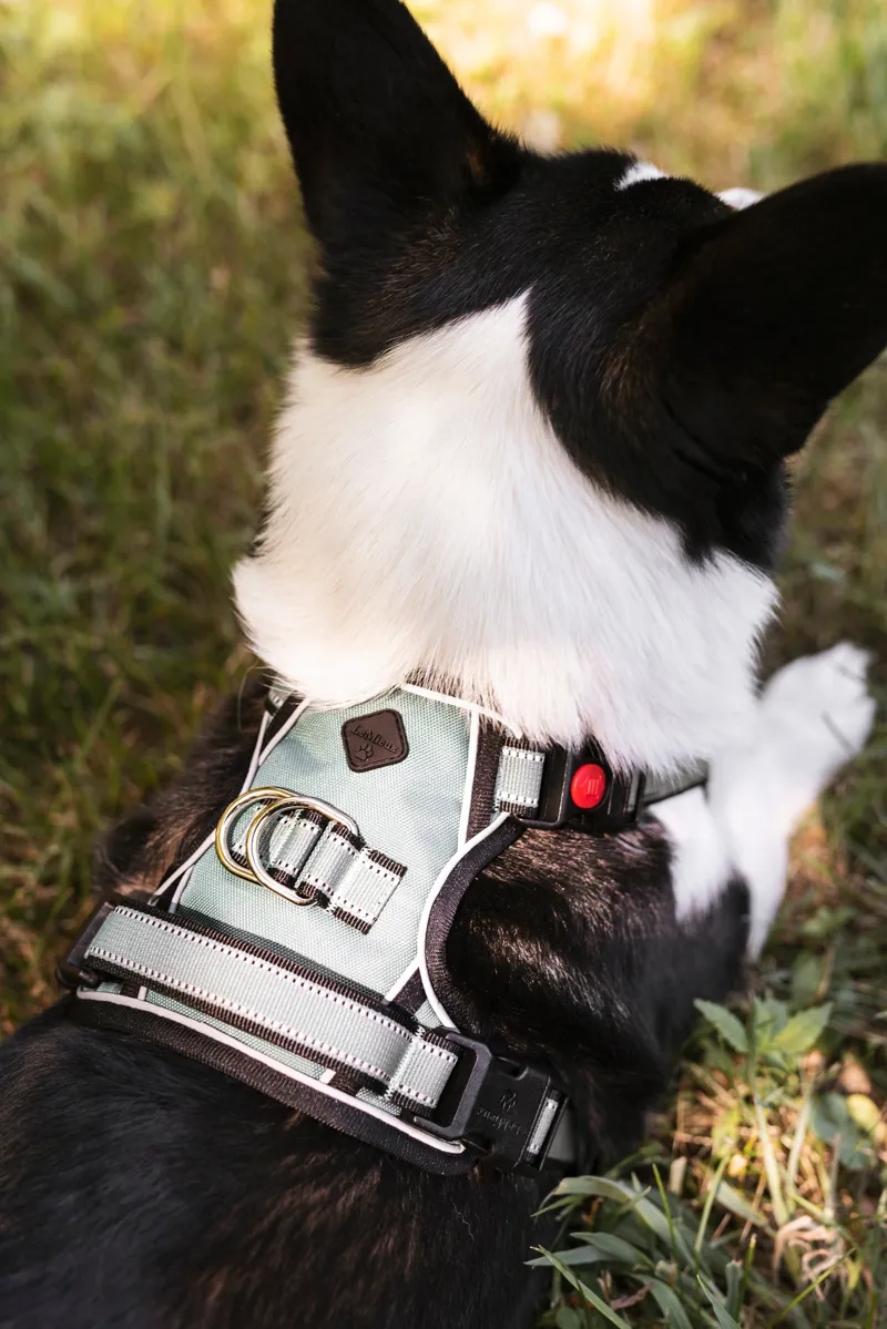 LeMieux Wellow Canvas Dog Harness - Small-4